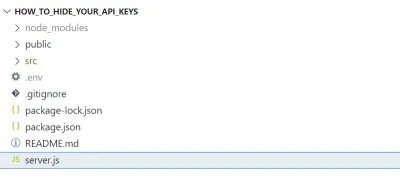 Снимок экрана с выделенным файлом server.js в корневом каталоге проекта