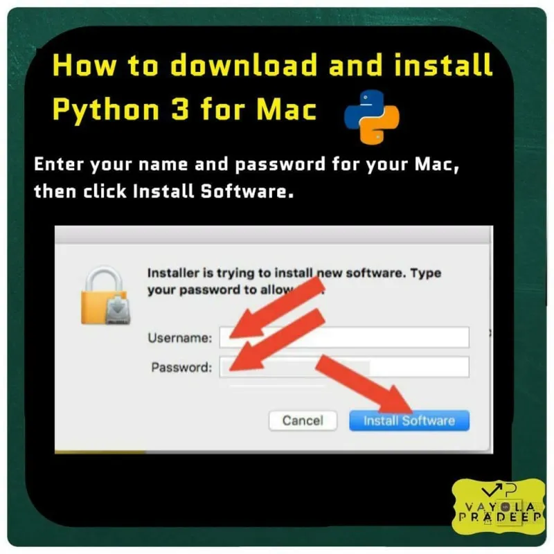 Описание изображения