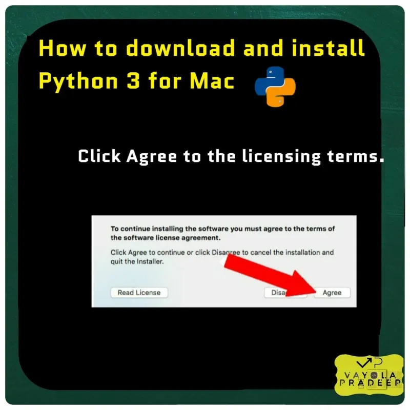 Описание изображения