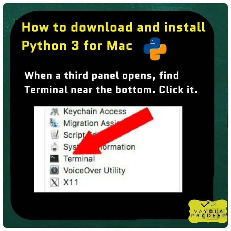 Описание изображения