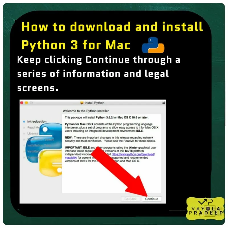 Описание изображения